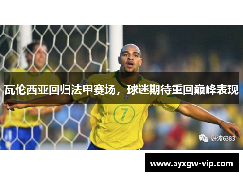 瓦伦西亚回归法甲赛场，球迷期待重回巅峰表现