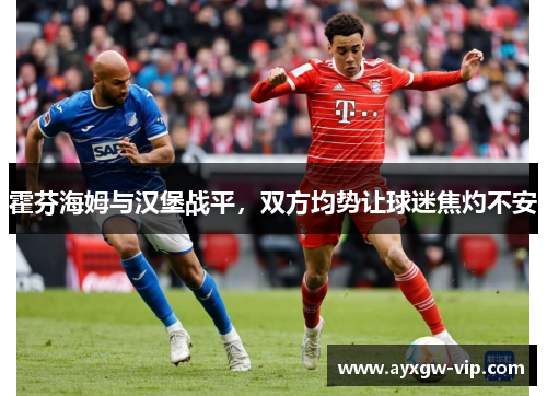 霍芬海姆与汉堡战平，双方均势让球迷焦灼不安