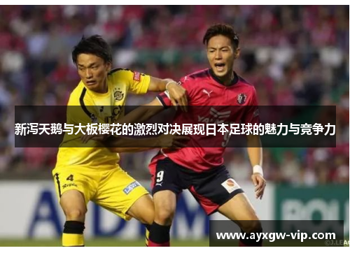 新泻天鹅与大板樱花的激烈对决展现日本足球的魅力与竞争力